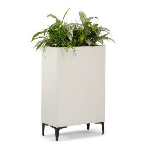 Sami Planter